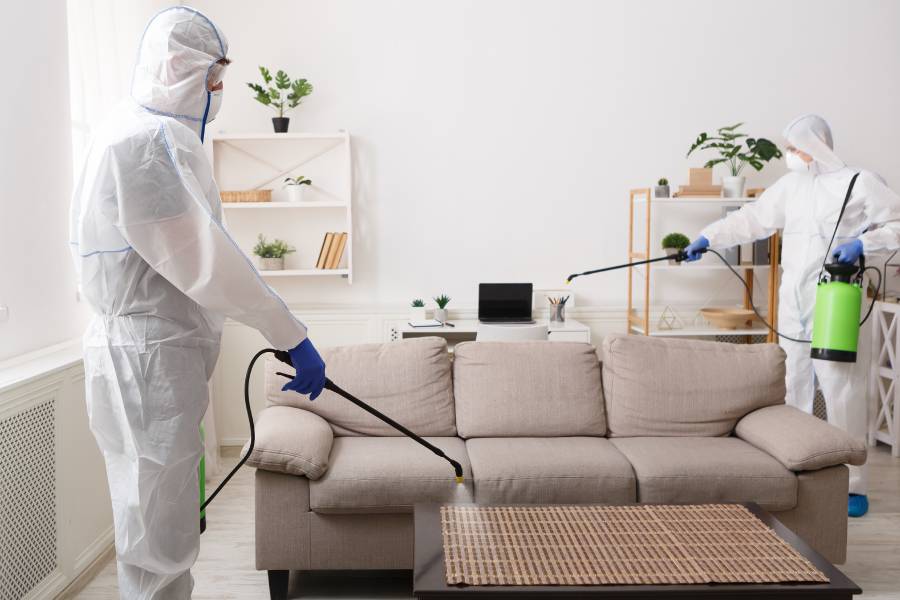 Top Reasons to Book A Disinfection Service for Your Home